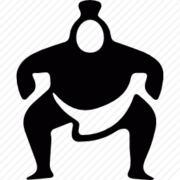 相扑<em>战斗机</em>