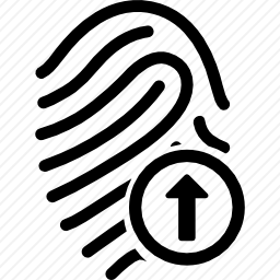 指纹提纲
