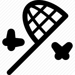 <em>蝴蝶</em>网