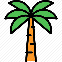 棕榈树