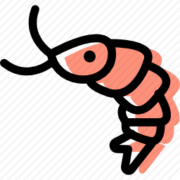 虾