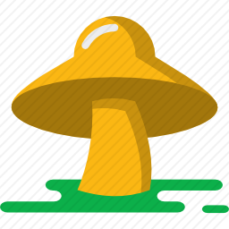 <em>蘑菇</em>