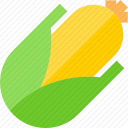 <em>玉米芯</em>