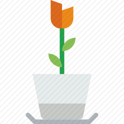 <em>花</em>