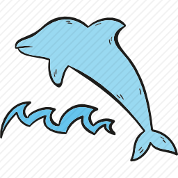 海豚