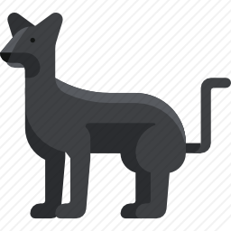 <em>黑豹</em>