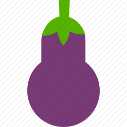 <em>茄子</em>