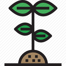 植物