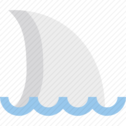 鲨鱼