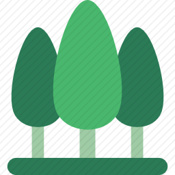 <em>森林</em>