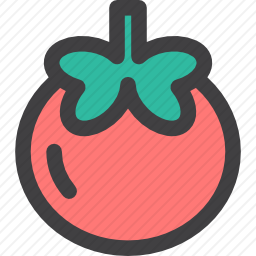 <em>番茄</em>
