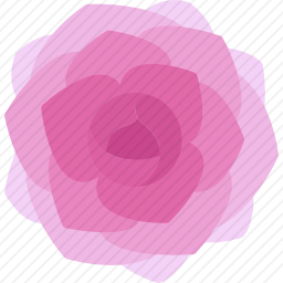<em>牡丹</em>