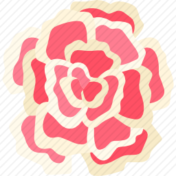 <em>康乃馨</em>