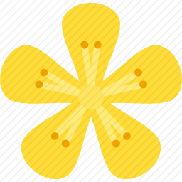 金丝桃