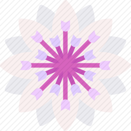 黄芪属