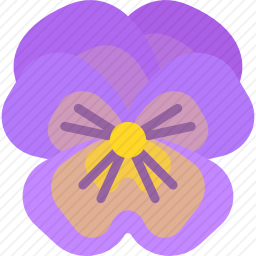 <em>三色堇</em>