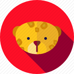 豹