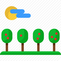 野外