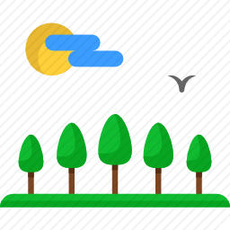 <em>森林</em>