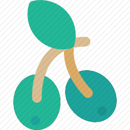 <em>橄榄</em>