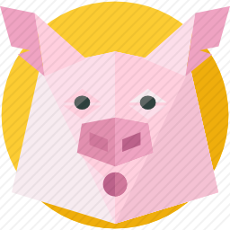 <em>猪</em>