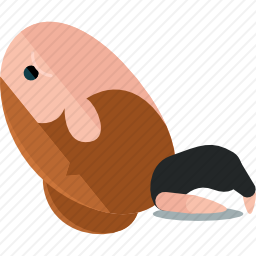 瑜伽