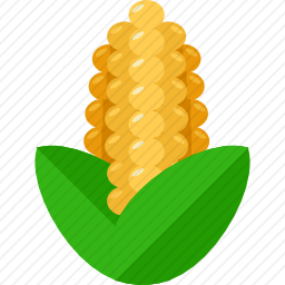 玉米