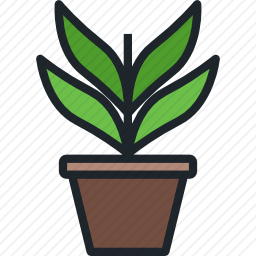 植物