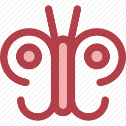 <em>蝴蝶</em>