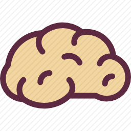 大脑