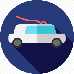 <em>豪华轿车</em>