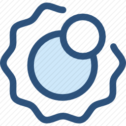 <em>太阳</em>