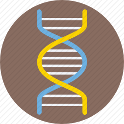 DNA