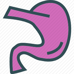 胃