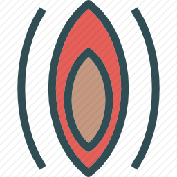 <em>阴道</em>