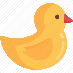 鸭子