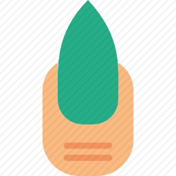 指甲