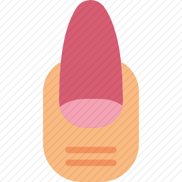 指甲