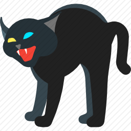 黑色的猫