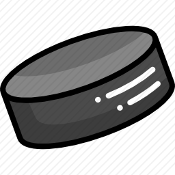<em>冰球</em>