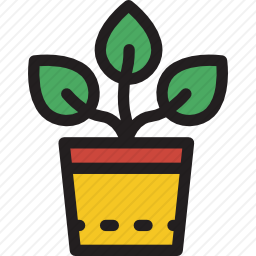 <em>植物</em>
