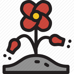 罂粟