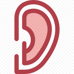 <em>耳朵</em>
