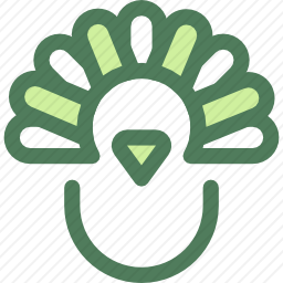 <em>火鸡</em>