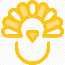 <em>火鸡</em>