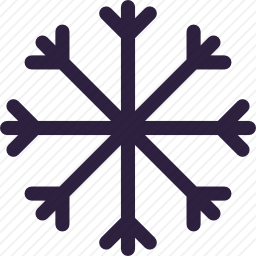 <em>雪花</em>