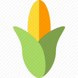 <em>玉米</em>