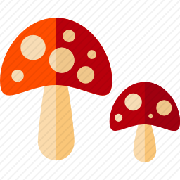 <em>蘑菇</em>