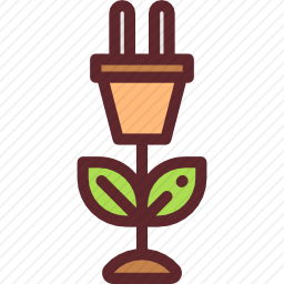 <em>插头</em>