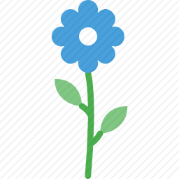 <em>花</em>